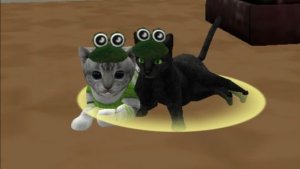 CatSim/🌺НОВАЯ СХОДКА!!26 июня, 7 по мск ❗НА ЕВРОПЕ❗