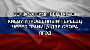 Белоруссия предлагает Киеву упрощенный переезд через границу для сбора ягод