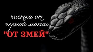 🐍ЧИСТКА «ОТ ЗМЕЙ» 🐍