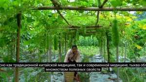 124ч. Секрет убийства генерального директора Чи: наконец-то раскрыт организатор.