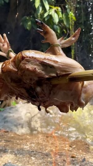Запекаем целую курицу на гриле рядом с водопадом