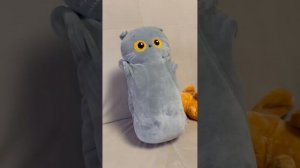 знакомство с новинкой