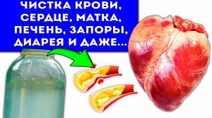 Пью всю жизнь и НЕ СТАРЕЮ! Прожить следующий год без болезней помогает бесплатное средство из леса