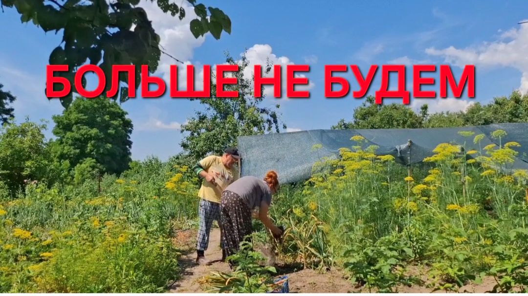 1317 Всё делаем вместе. Подглядываем за соседями.Больше так не будем делать.