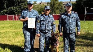 В Ярославле прошли соревнования по многоборью среди кинологов