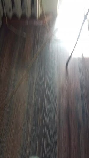 влок с реборном