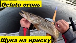 Гелато - огонь. Щука на Ириску. Балисонг по тихой воде.