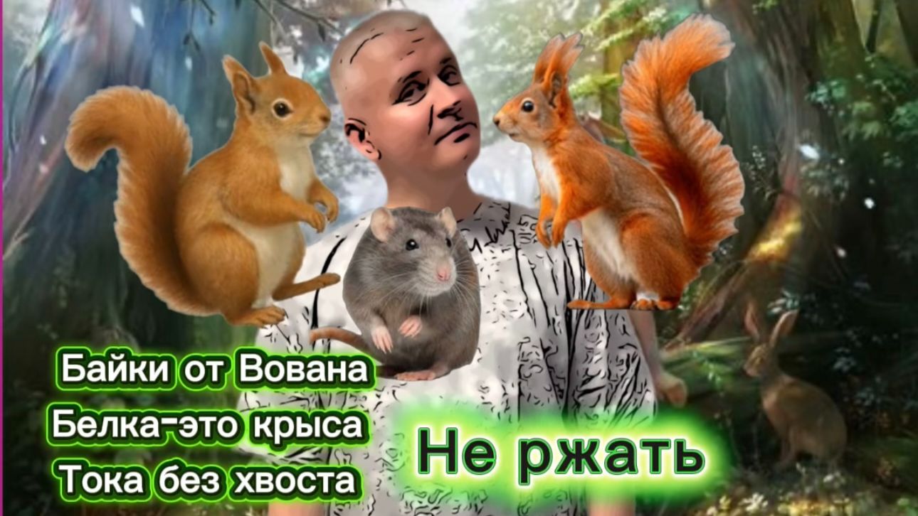 БАЙКИ ОТ ВОВАНА) Сопля Жжёт не по детски) Теребоньку посетила толи Белка, толи Крыса))) смотреть онлайн