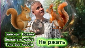 БАЙКИ ОТ ВОВАНА) Сопля Жжёт не по детски) Теребоньку посетила толи Белка, толи Крыса)))
