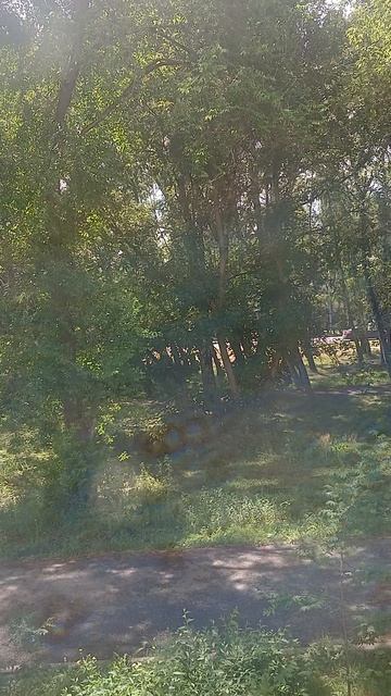 оео смотреть онлайн
