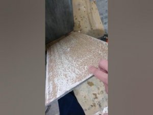 мочить или не мочить плитку
