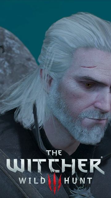 «Ищи голос своего разума». Совет Ивасика на Лысой горе. The Witcher 3 - Wild Hunt #shorts
