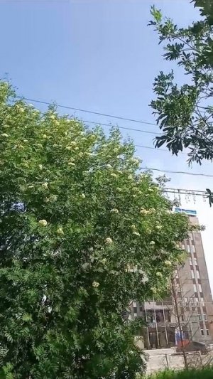 22719.mp4 Елена Дружиненко Воркута