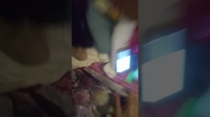 VID_20260620_230627.mp4