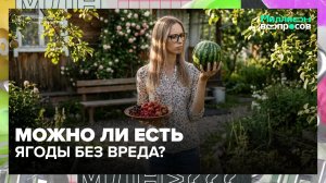 Арбузы, черешня и клубника: сколько можно съесть без вреда для желудка?| Миллион вопросов —Москва 24