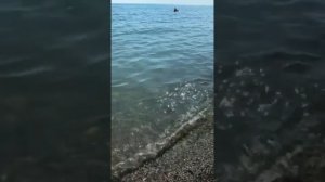 #СОЧИ #МАМАЙКА 24 июня