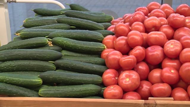Инфляция в РФ начала плавно ускоряться. Новости экономики 04.06.26