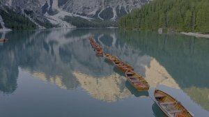 Потрясающая визуальная точность — 8K HDR 60 кадров в секунду Dolby Vision Experience