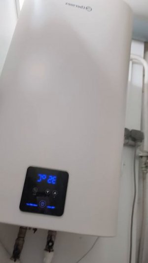Y