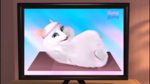 хомячки