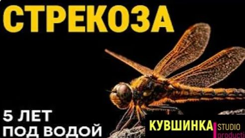 Подводный монстр ставший властелином неба смотреть онлайн