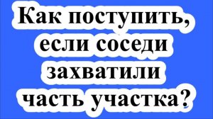 Спор вокруг забора: как поступить, если соседи захватили часть  земельного участка?