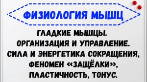 Физиология гладких мышц. Управление. Сила,энергетика сокращения,феномен «защёлки»,пластичность,тонус