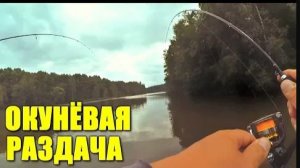 Клюёт - только кидай! Попали на раздачу окуня!