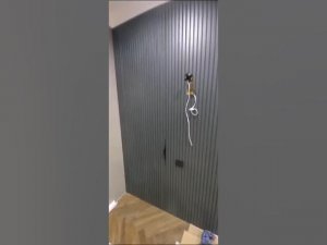 Дверь  с декоративными рейками с продолжением по стене.