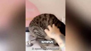 Смех, юмор, ржачь. Часть 16