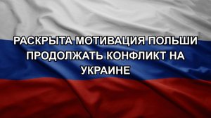 Раскрыта мотивация Польши продолжать конфликт на Украине