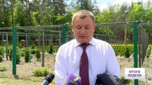 Хвойные леса Украины могут исчезнуть, или Кто стоит за уничтожением сосен?