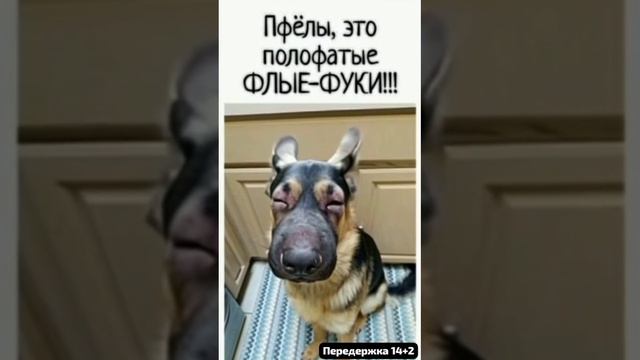 🌛🌜Передержке 14+2 на память ..