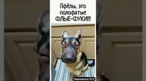 🌛🌜Передержке 14+2 на память ..
