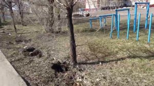 Бетонный забор школы №74 убрали по всему периметру 12-ого Апреля 2024 года