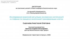 Заседание диссертационного совета НТУ.1.5.3.11