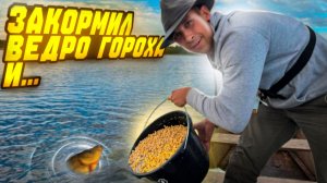 Что ждет на ночной рыбалке? Редкий улов! Рыбалка с ночевкой.