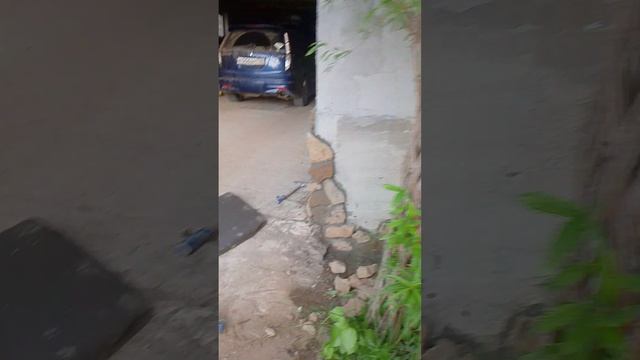 1000006801.mp4 смотреть онлайн
