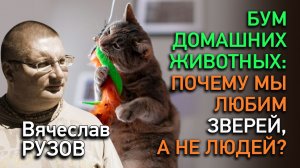 Бум домашних животных: почему мы любим зверей, а не людей?