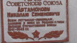 брюшко мига
