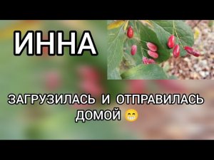 Поговорим‼️ Инна Судакова // Загрузилась⁉️ И отправилась домой‼️