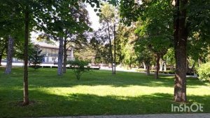 Прогулка с Боней