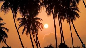 Island Escape 🎸🌴 – Gentle Waves & Serenity - Tropical Music