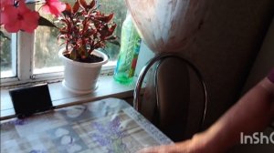 Раннее утро. Дождь как по расписанию.Кто рыл норку?