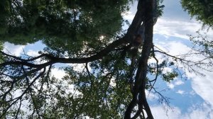 Выполняю задания от подписчиков ❗