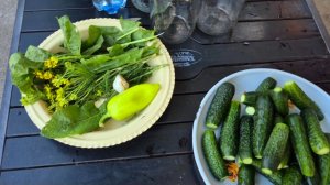 ЗАКАТЫВАЮ ОГУРЦЫ..НАПОМИНАЮ ВАМ... ОБЗОР ОТ ВИКУЛИ