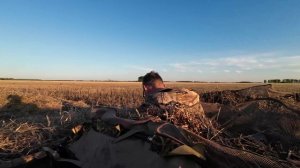 Разведка по гусю, перешла в охоту
