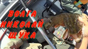 Отличная рыбалка с сыном.