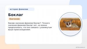 Фамилия Боклаг: происхождение, значение и склонение