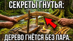 5 ЗАПРЕЩЕННЫХ методов гнутья дерева, которые ставят современных инженеров в тупик